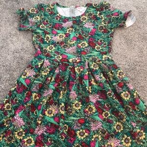 Lularoe Amelia dress